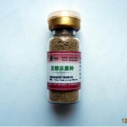 立足中原，輻射全國 鄭州市粗加工水產品批發市場全覽