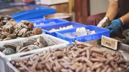 煙臺開海首日！凌晨碼頭沸騰，生猛海鮮批量上岸直供市民餐桌